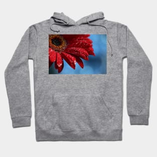 Blue Red Delicious Hoodie
